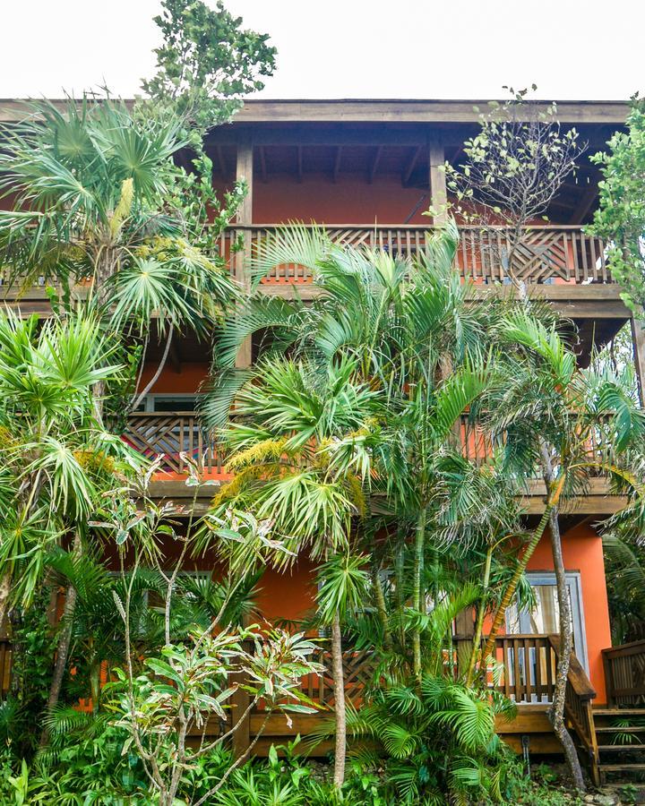 Hotel Posada Las Orquídeas West End Exterior foto